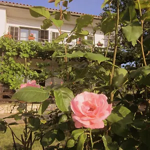 Apartman Iva